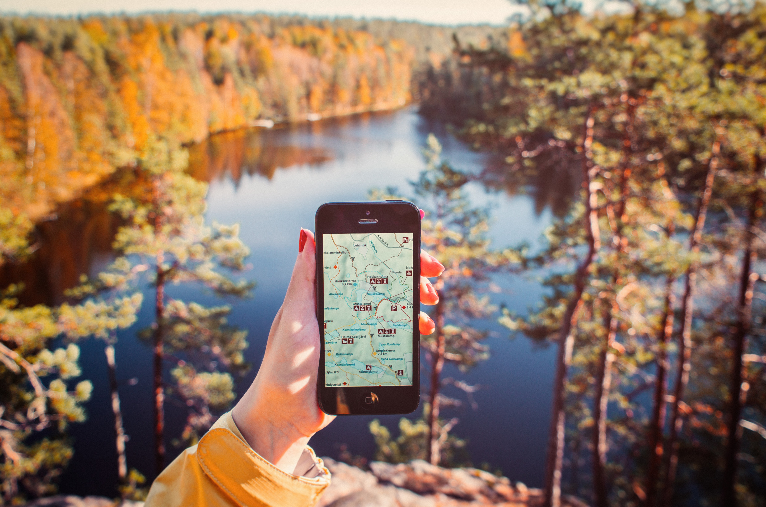 Retkeilijä katsoo puhelimesta karttaa syksyisessä luonnonpuistossa.